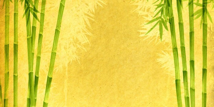 1410x950 Bamboo Wallpaper | Soft Wallpapers
