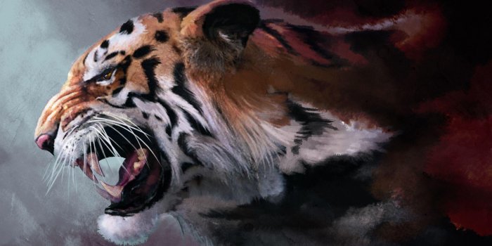2560x1600 Tiger HD Wallpapers