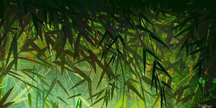 1920x1080 Free Images Bamboo Wallpaper HD Download High Definiton Wallpapers