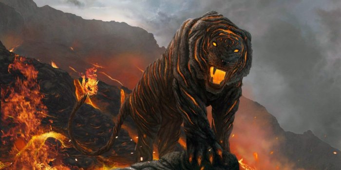 1920x1080 The Burning Tiger HD Wallpaper [1920 x 1080] : wallpaper