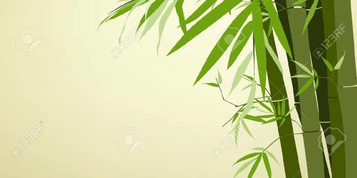 1300x1300 Bamboo Drawing HD Wallpaper, Background Images