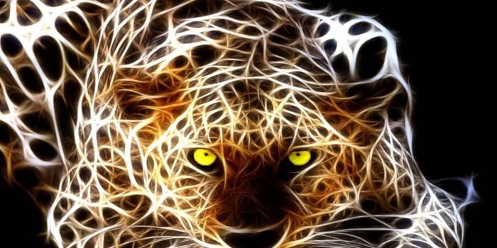 1600x1200 3D Tiger Wallpaper | Tag: Tiger 3D Wallpapers, Images, Photos