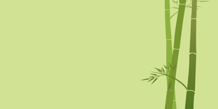 2560x1600 2944590 bamboo wallpaper and background | Other | Tokkoro.com