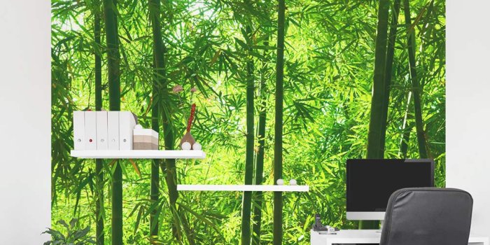 1000x1000 Bamboo Forest Wall Mural