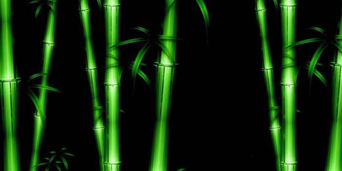 1680x1050 green bamboo wallpaper | Bamboo time, bamboo, black, colourful, cool