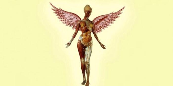 730x1298 I made phone wallpaper for In Utero : Nirvana