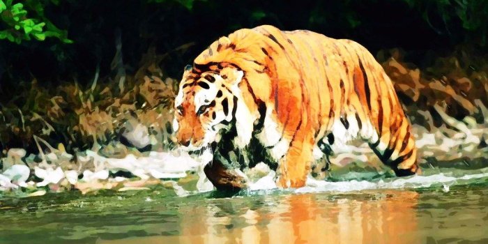 1024x768 Bengal Tiger Wallpaper | Bengal Tiger Wallpaper