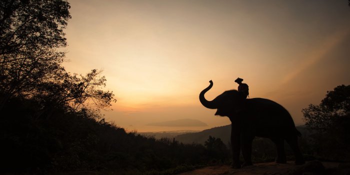 2560x1600 256 Thailand HD Wallpapers | Background Images