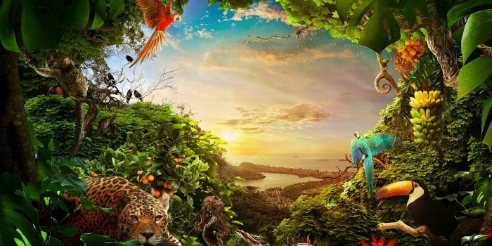1680x1050 Wallpaper Brazil, Forest, Nature, Animals, Birds, 4K, Creative