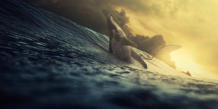 4724x2322 Black humpback whales HD wallpaper | Wallpaper Flare