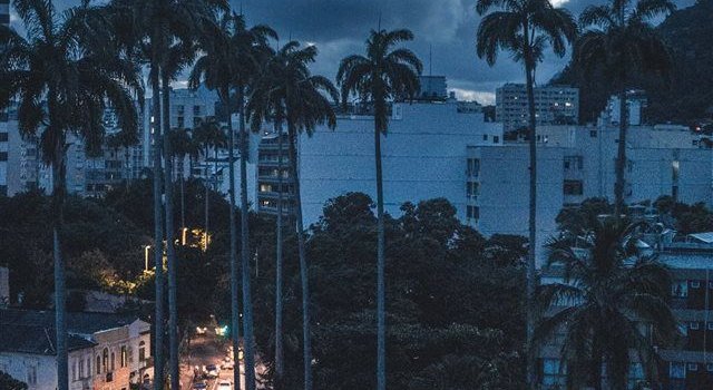 640x1385 Sunset in Rio iPhone X wallpaper #android #brazil #palmtree