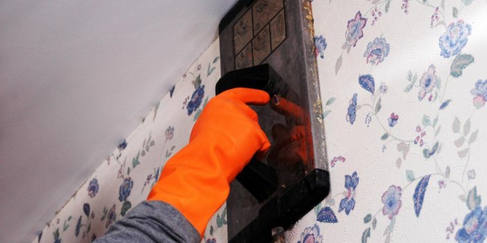 1280x960 How to Remove Wallpaper Using Solvents or Steam | HGTV