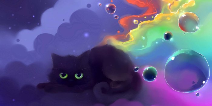 1920x1080 Kitty Cat - Cats Wallpaper (41231393) - Fanpop