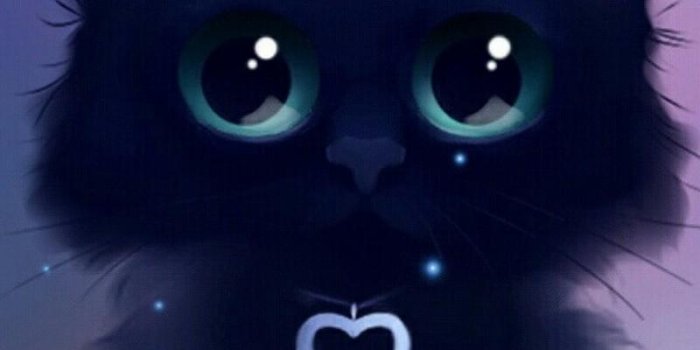 800x1280 Kawaii Cat Wallpaper for Android - APK Download