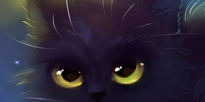 1080x1920 Cat Wallpaper (Cartoon, Eyes, Black) HD Cat Wallpaper