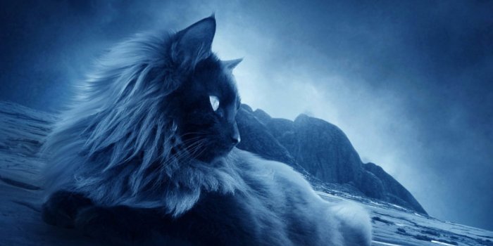 1024x768 50 HD Cute Cat Wallpapers for Your Desktop