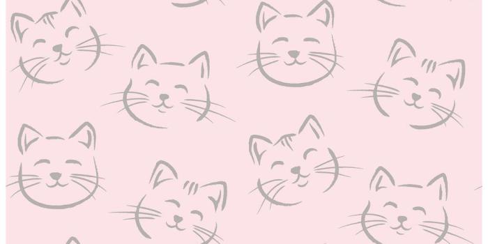 1000x1000 56.4 sq. ft. Purr Pink Cat Wallpaper