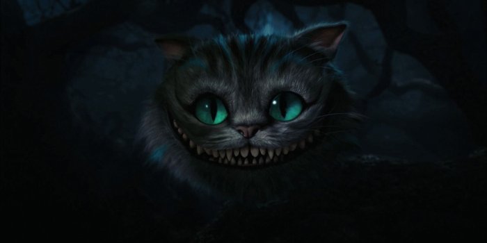 1920x1080 50 Free HD Cat Wallpapers