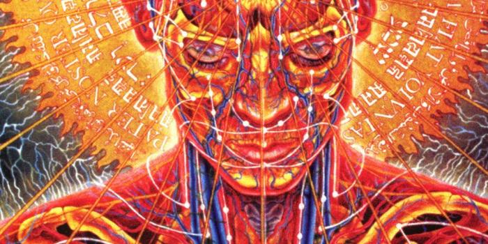 1080x1920 60+ Trippy World Wallpapers - Download at WallpaperBro