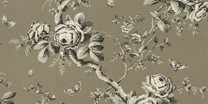 900x1000 35+ Lauren Ralph Lauren Wallpapers - Download at WallpaperBro