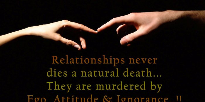 1920x1200 Beautiful Relationship High Definition Quotes Photo Background | HD