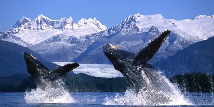1920x1080 66 Alaska HD Wallpapers | Background Images