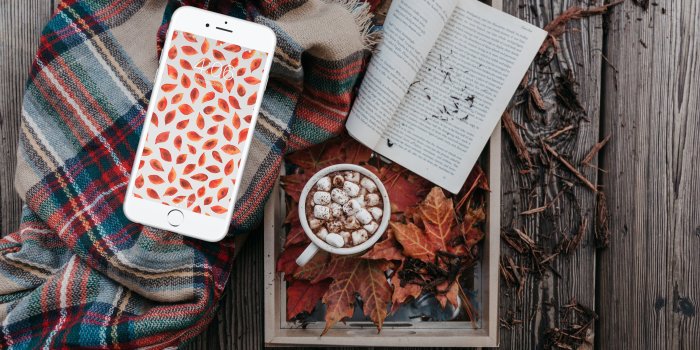 3000x2000 Autumn Leaves Wallpaper
