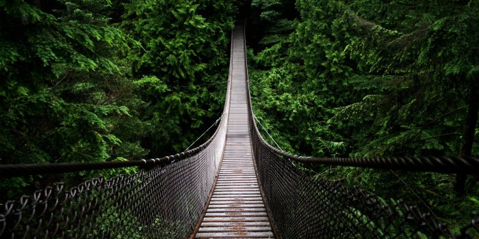 2560x1600 1000+ Bridge HD Wallpapers and Backgrounds