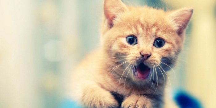 1280x768 Best HD Wallpaper ❤ 4K HD Desktop Wallpaper for 4K Ultra HD TV