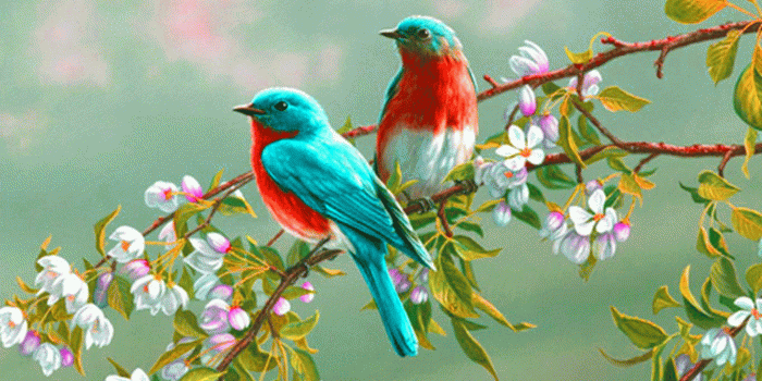 1366x768 119+ Desktop PC Wallpaper Pictures Images Photos Pics HD Free Download