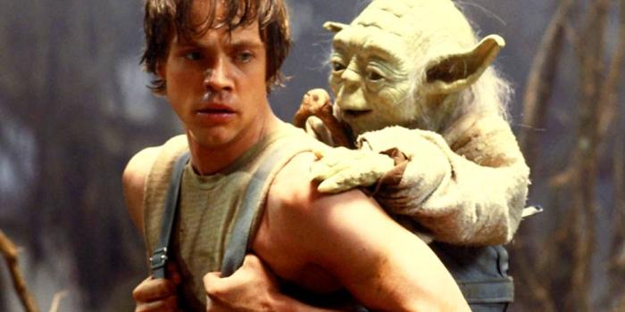 1280x804 Star Wars: Yoda and Luke wallpapers | Star Wars: Yoda and Luke stock