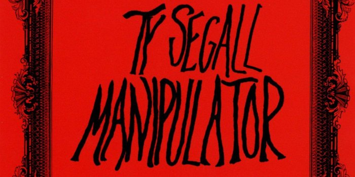 1204x1200 Manipulator