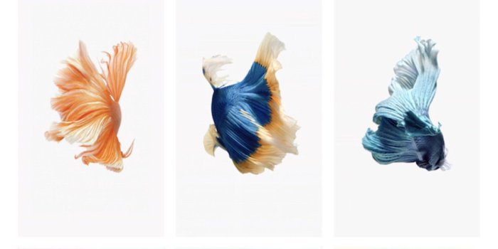 1242x2208 Discussion] I've managed to add ALL Live wallpapers (the ones from