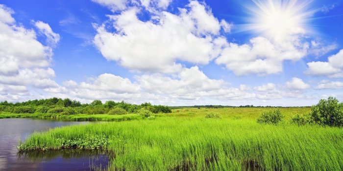 2560x1600 Sunny Day Wallpapers