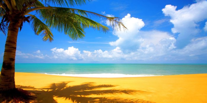 2560x1440 59+ Sunny Day Wallpapers on WallpaperPlay