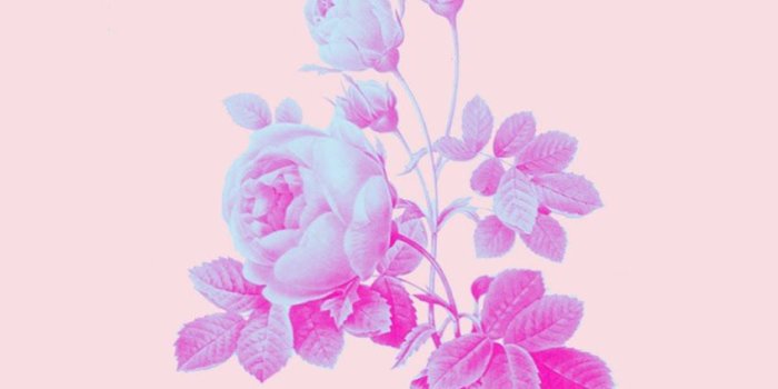 848x1600 Free Bible Verse Phone Wallpaper | Starry Ari