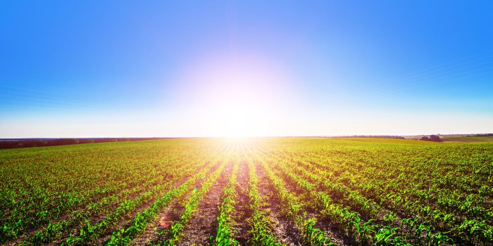 4800x3200 Wallpaper Sunny day, 4K, Nature, #4423