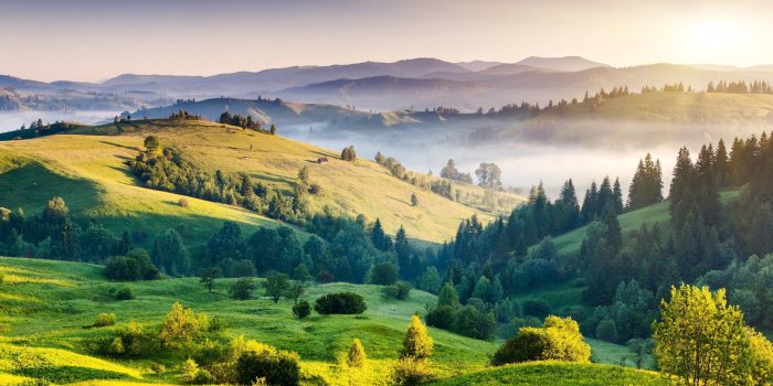 2560x1600 Green Sunny Landscape Wallpaper | 2560x1600 | ID:56171