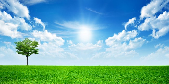 2560x1600 Sunny Bright Day Wallpapers | HD Wallpapers | ID #13195