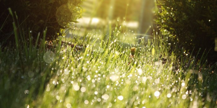 1920x1200 Sunny ❤ 4K HD Desktop Wallpaper for 4K Ultra HD TV • Dual Monitor