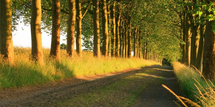 2560x1600 Sunny Road wallpapers Collection