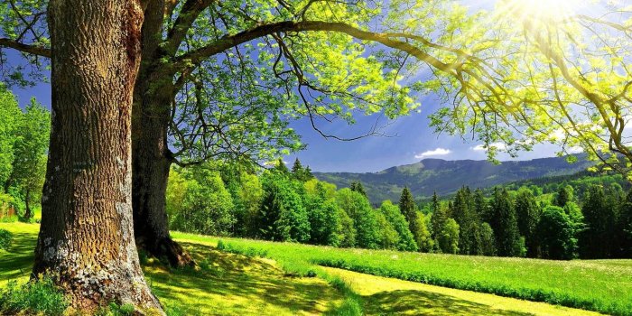 1920x1200 Sunny Day Background Wallpapers 25959 - Baltana