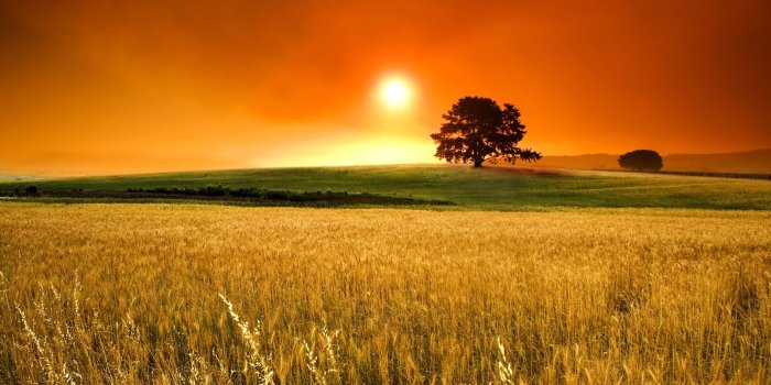 2560x1600 Awesome, Sunny, Day, Fields, View, Scenery, Wallpaper, Photos, For