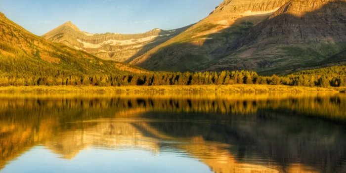 750x1334 10 FREE SUNNY IPHONE WALLPAPERS - PremiumCoding