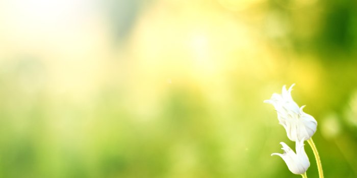 5184x3456 sunny 4K wallpapers for your desktop or mobile screen free and easy