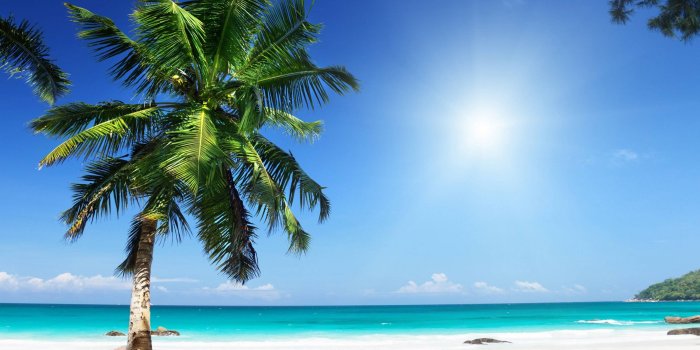 3200x2400 18733 sunny wallpapers