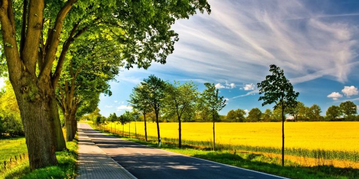 1600x900 PixelXtreme: Just A Sunny Day HD Wallpaper