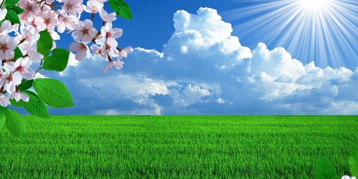 1280x800 42+] Sunny Day Wallpaper Desktop on WallpaperSafari