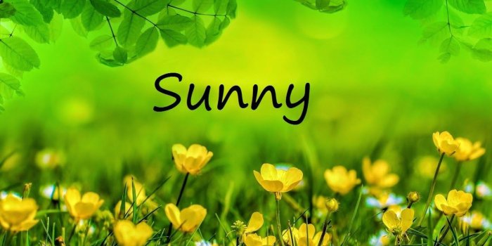 1280x847 Home Design Styles With Sunny Name Wallpapers Sunny Name Wallpaper