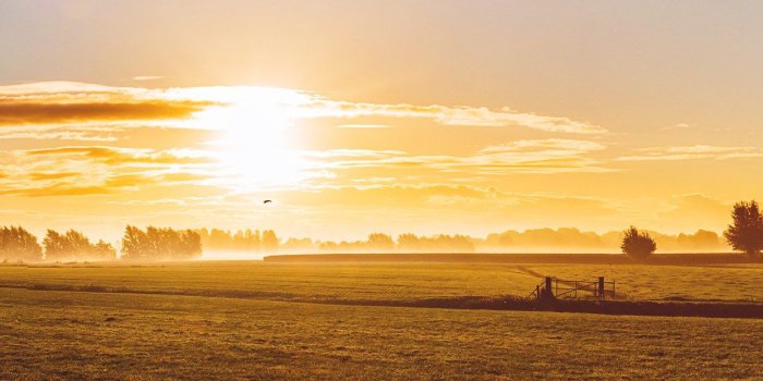 1242x2208 Sunny Morning Farm Peace Nature Flare Android wallpaper - Android HD